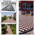 ES PARKE�