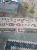 Papyon Parke